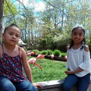 Meet your Posher, Piedad